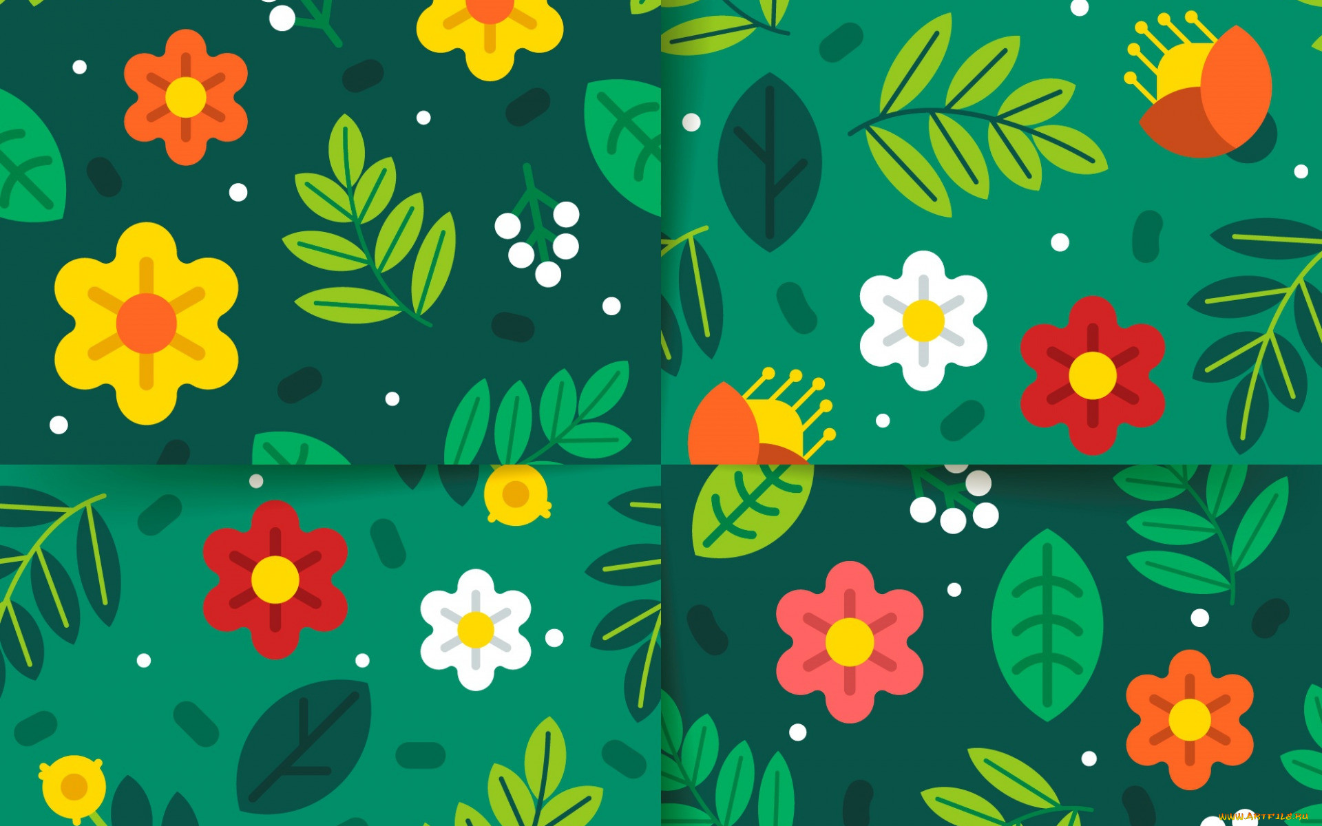  ,  , flowers, , 